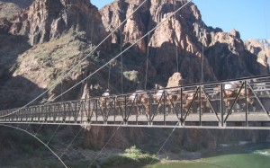 Silver Bridge that goes to Bright Angel and Phantom Ranch